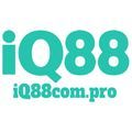 @iq88compro