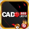 @Cado888xyz