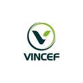 @vincef