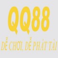@qq88limo