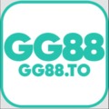 @Gg88to