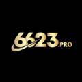 @6623pro