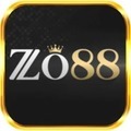 @Zo88usorg