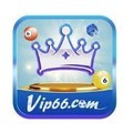@vip66boats