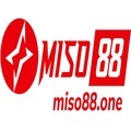 @miso88one