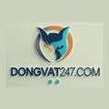 @dongvat247com
