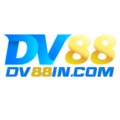 @dv88incom