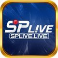 @splivelive