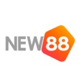 @new88ltda
