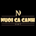 @nuoicacanhnet