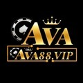 @ava88vip