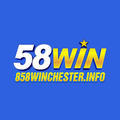 @858winchester