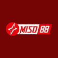 @miso888com