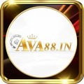 @ava88in