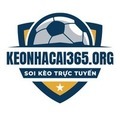 @keonhacai365org