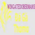 @dagawingate
