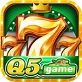 @q5game