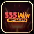 @555windesign