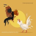 @thomohomnaynewbe
