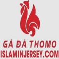 @dagatructiepisland