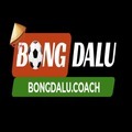 @bongdalucoach
