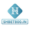 @shbet800in