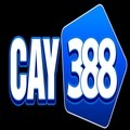 @Cay388cam
