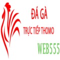 @dagaweb555
