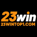 @23wintop1com