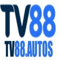 @tv88autos