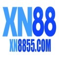 @xn8855com