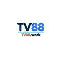 @tv88work