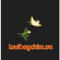 @luoibaychimvn
