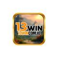 @13wincomio
