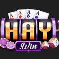 @1haywintech