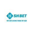 @shbetingcom