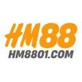 @hm8801com