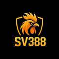 @dagasv388biz1