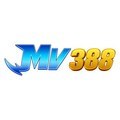 @mv388com