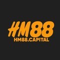 @hm88capital