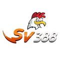 @sv388vntop