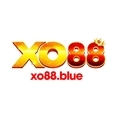 @xo88bluetop