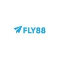 @Fly88black