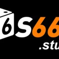 @S666study