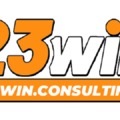 @23Winconsulting