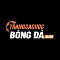 @trangcacuocbongdablog