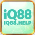 @iq88help