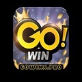 @gowinxpro