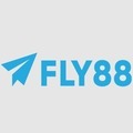 @Fly88ad