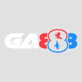 @ga8887234